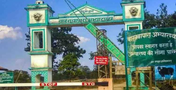 16 जून से बारनवापारा अभयारण्य पर्यटकों के लिये रहेगा बंद: आगामी सीजन में पर्यटकों की सुविधा में होगा विस्तार