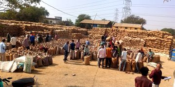 बलौदाबाजार: धान खरीदी में फर्जीवाड़ा और लापरवाही बरतने वाले कर्मचारियों पर गिरी गाज, छेरकापुर उपार्जन केन्द्र के दो कर्मियों की सेवा समाप्त